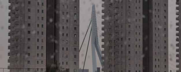 triest Rotterdam